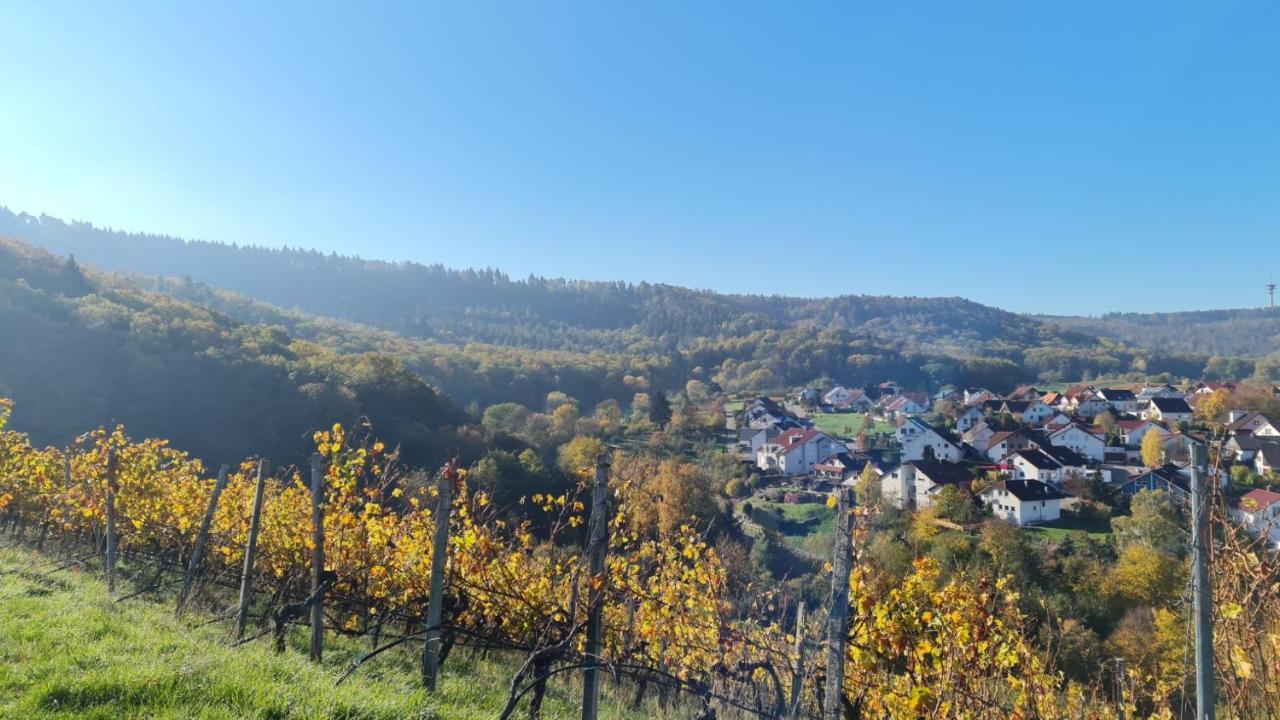 Unter Dem Schloss Apartment