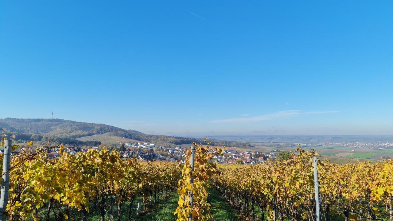 Apartment Unter Dem Schloss *